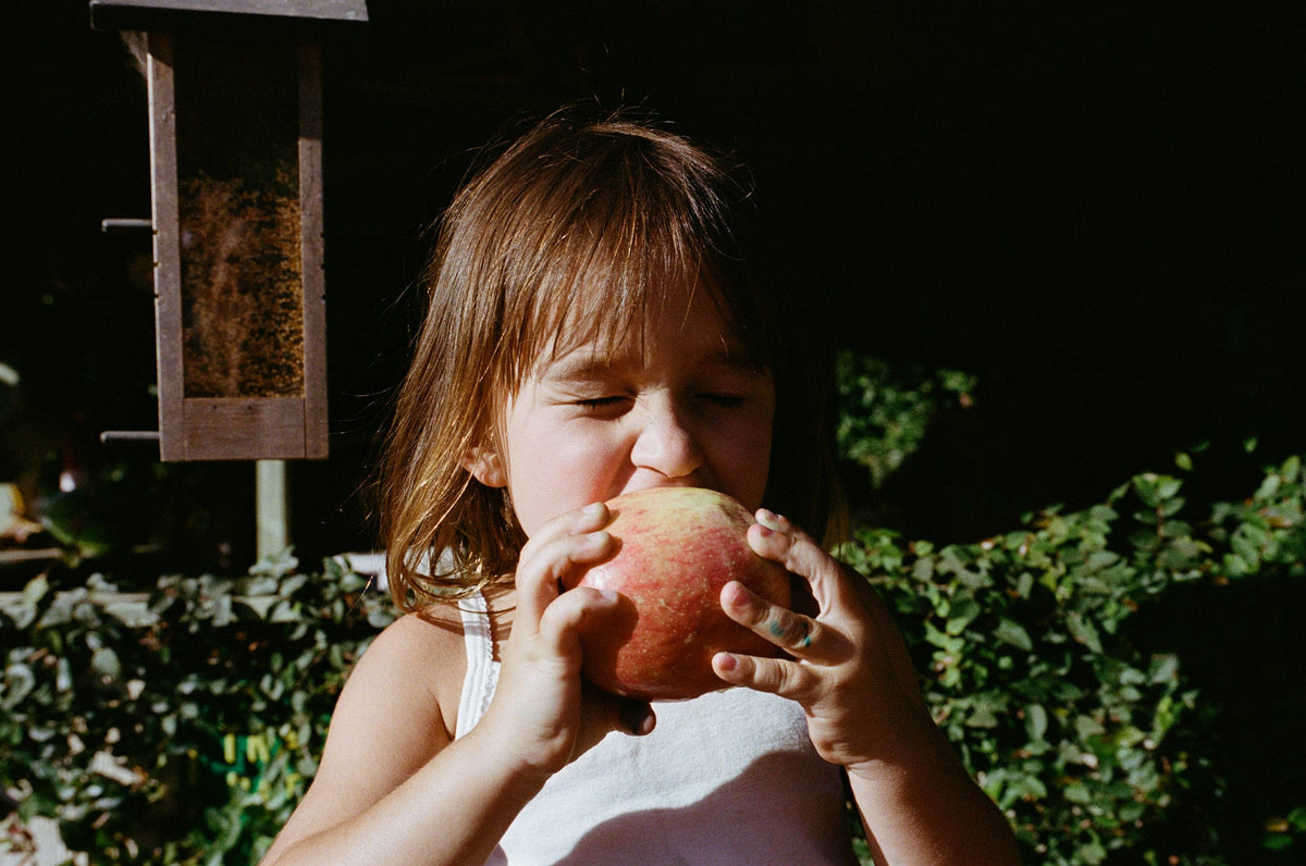 Sparkling Apple Juice