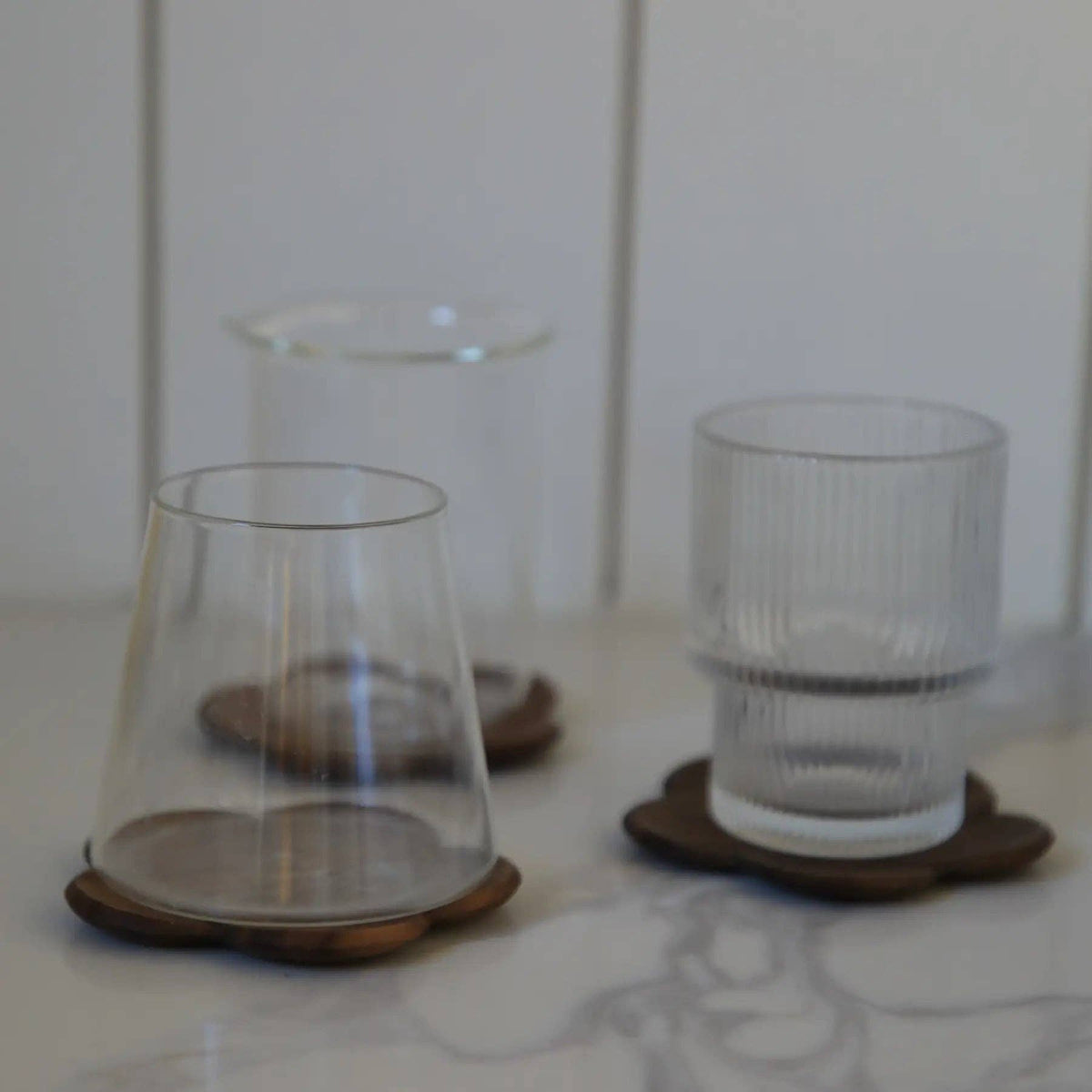 Black Walnut Plum Coaster