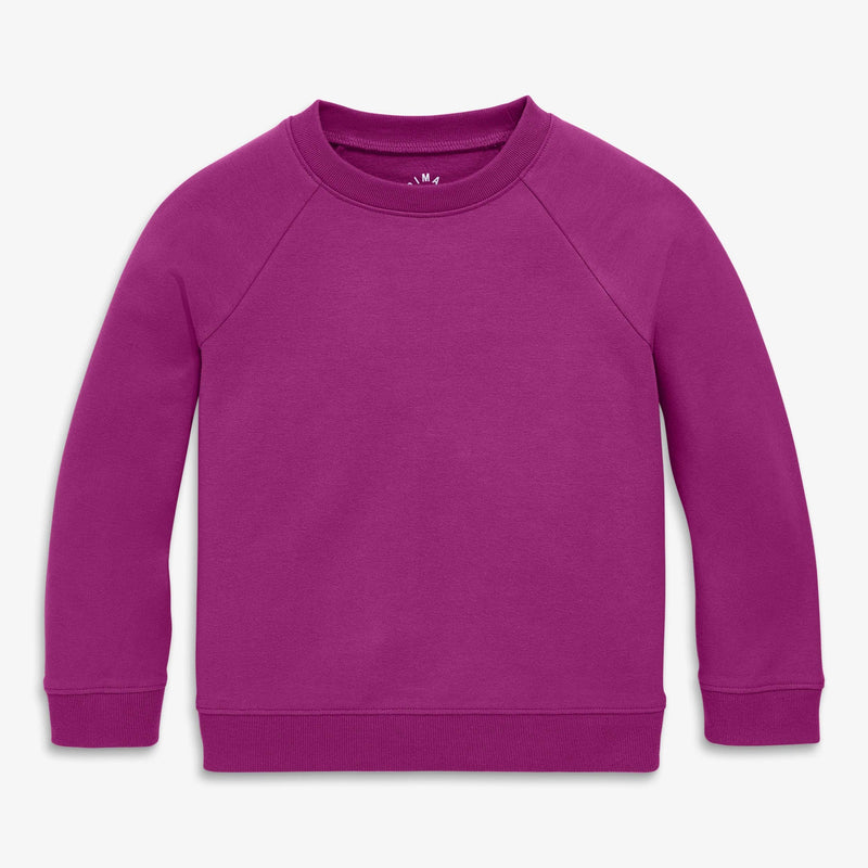The Sweatshirt