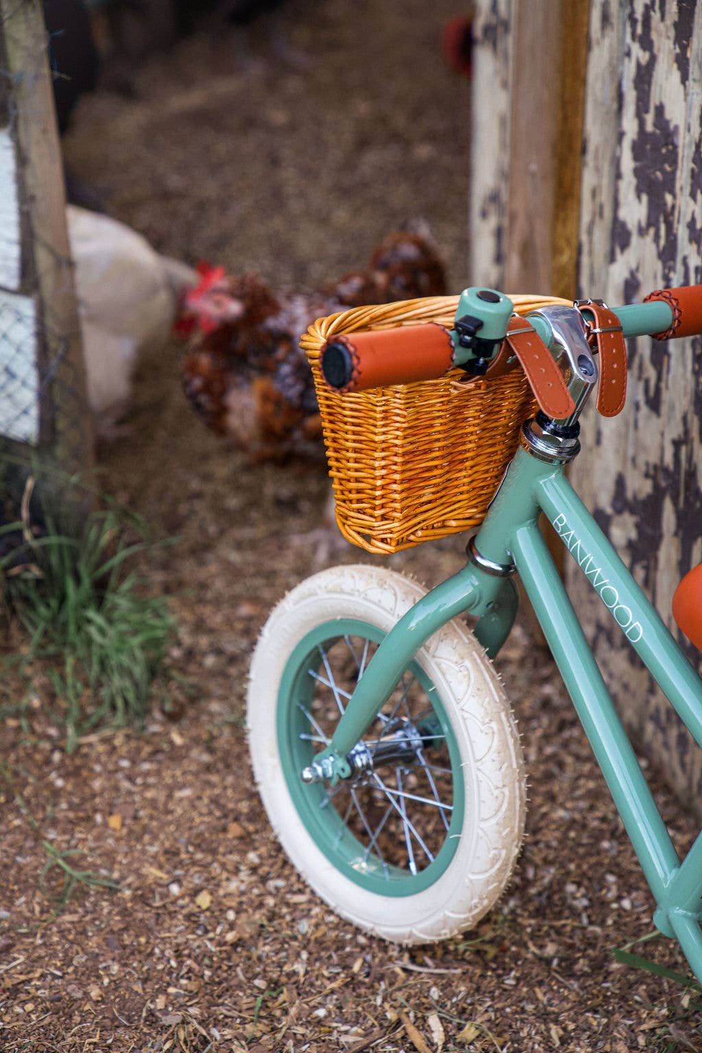 BALANCE BIKE FIRST GO VINTAGE - FOREST (New Color)