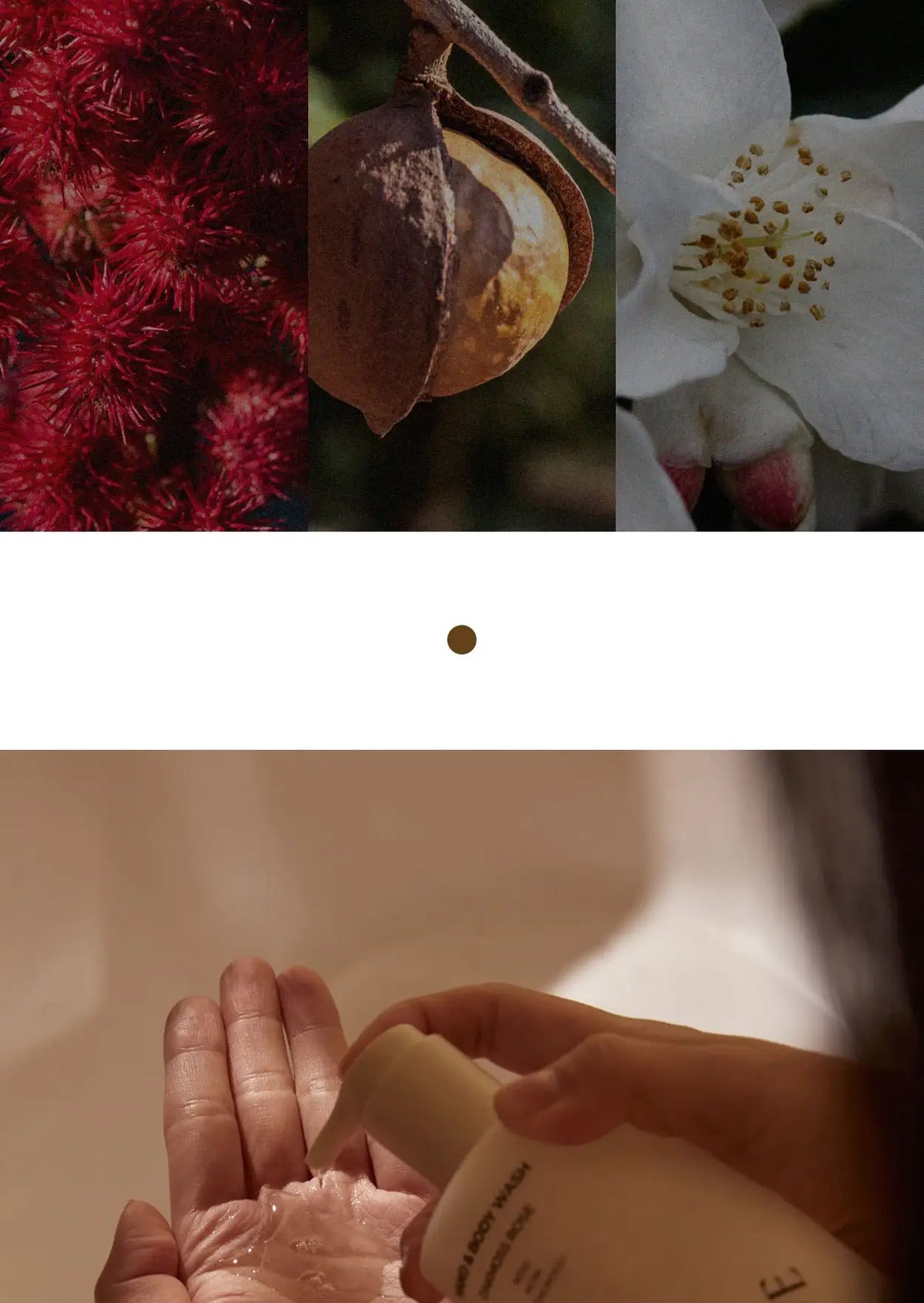 VERIDIQUE - Hand and Body Wash
