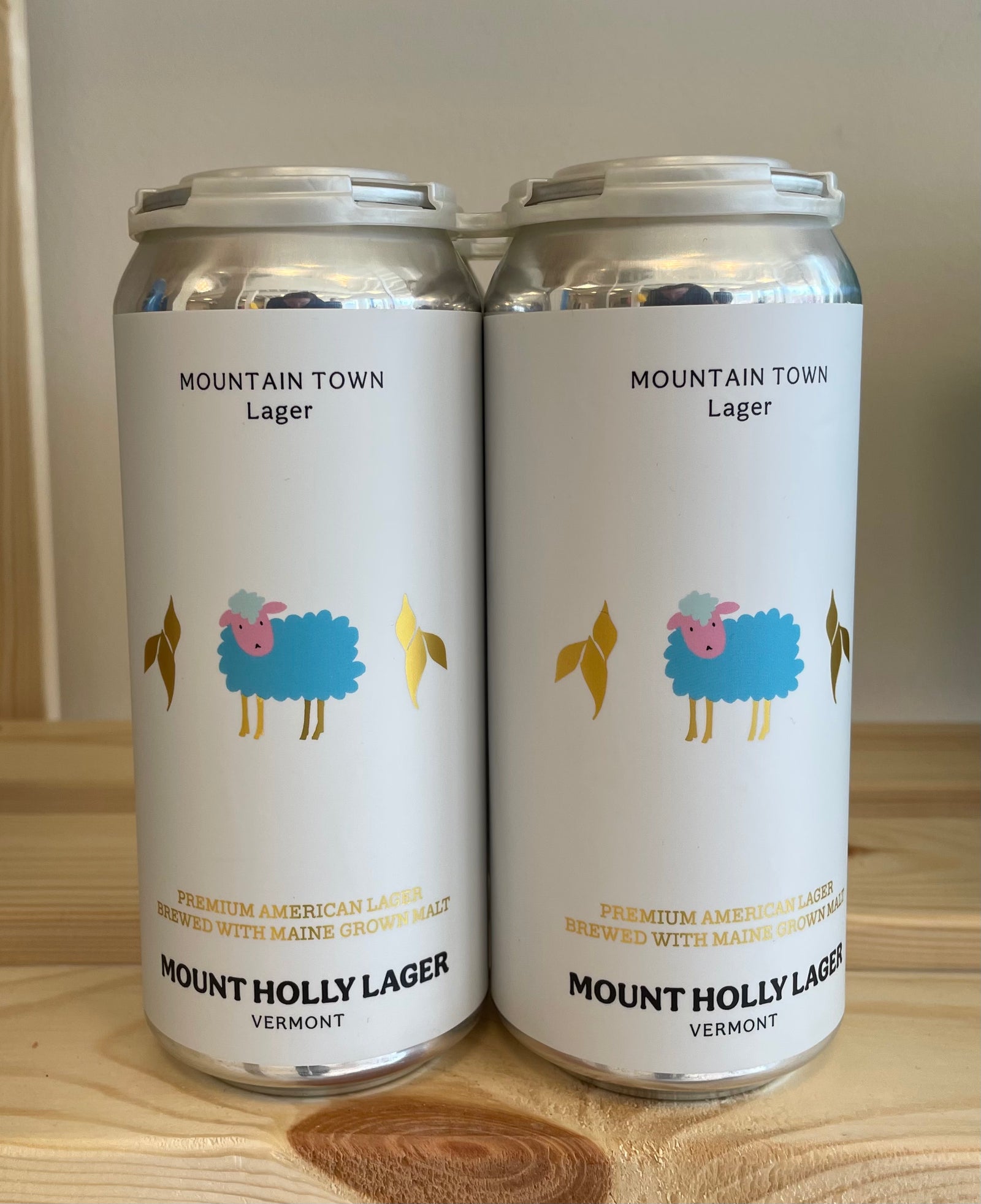 Mountain Town Lager - Mt Holly Beer