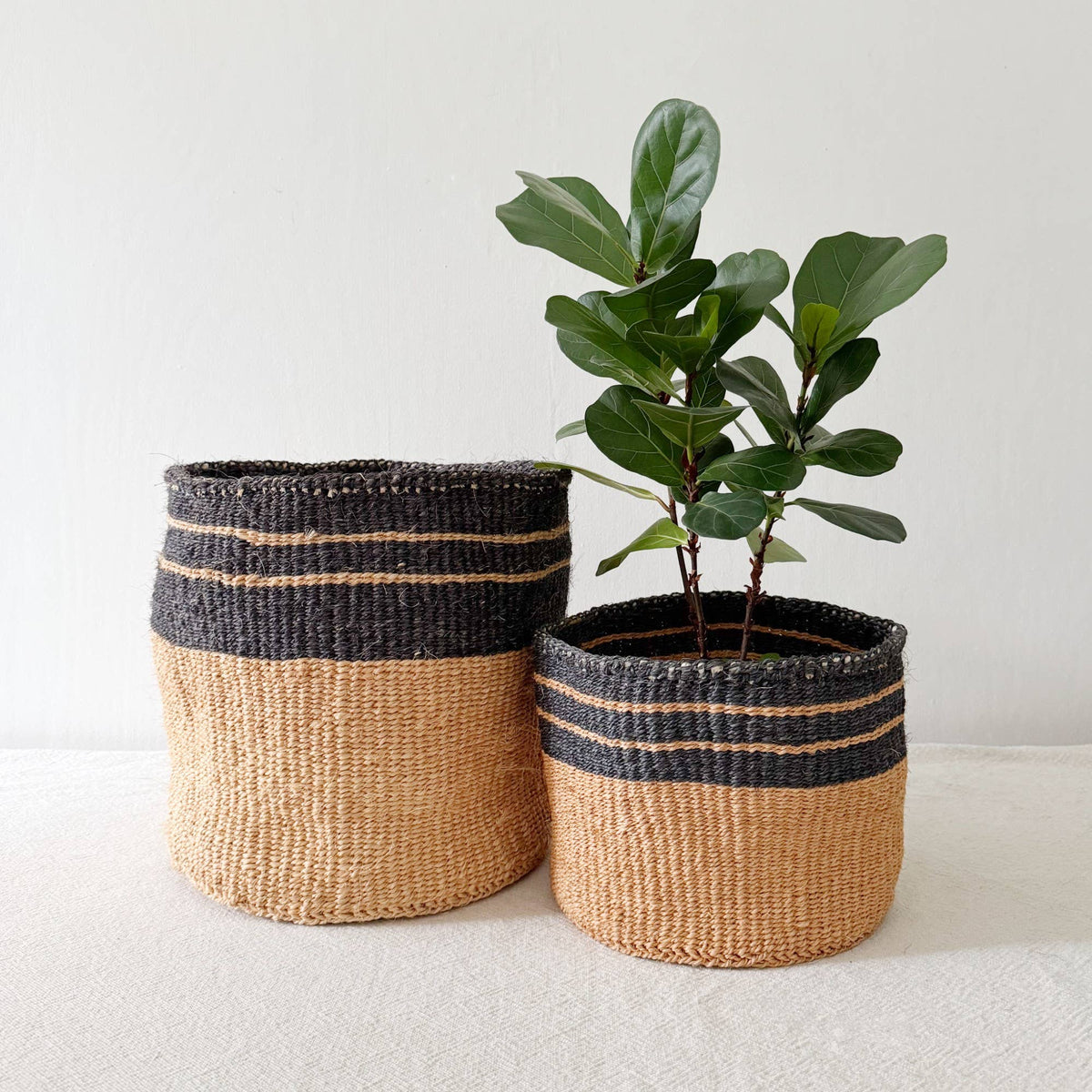 Sisal Plant Basket: Twilight