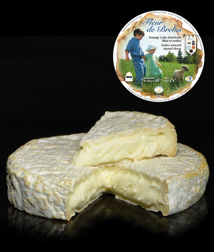 Fleur de Brebis- Fromagerie le Détour